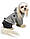Костюм Pet Fashion Гранд S (27-30 см) для собак, фото 4