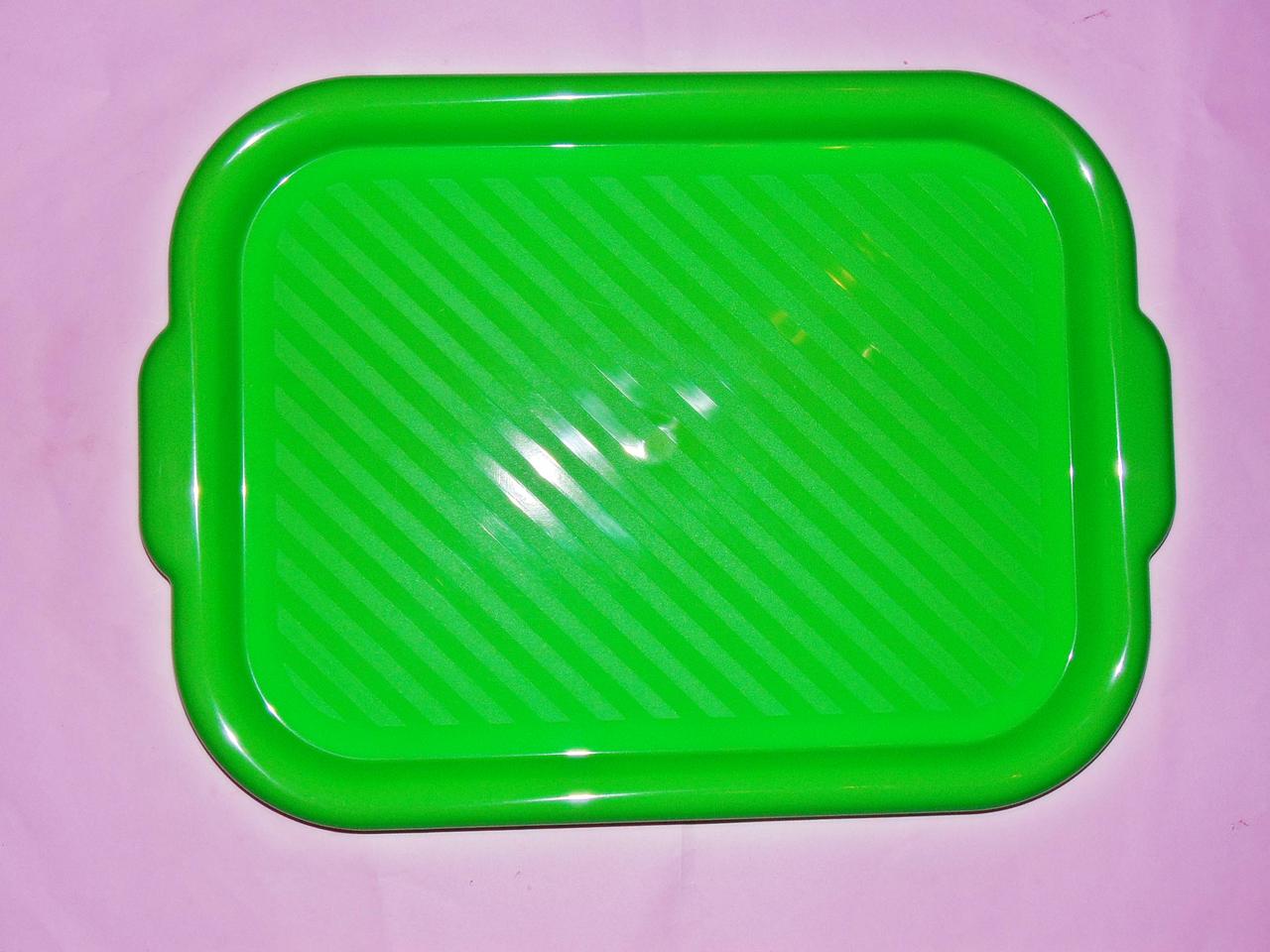 Пластиковий піднос «ММ-ПЛАСТ» 40х29, фото 1