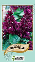 Семена Сальвия блестящая Пурпурно-Фиолетовая 0,2 грамма Агропак