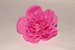 Декоративні квіти — Камелія