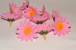 Головка ромашки.Рожева