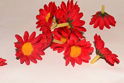 Головка ромашки.кв.Червоний