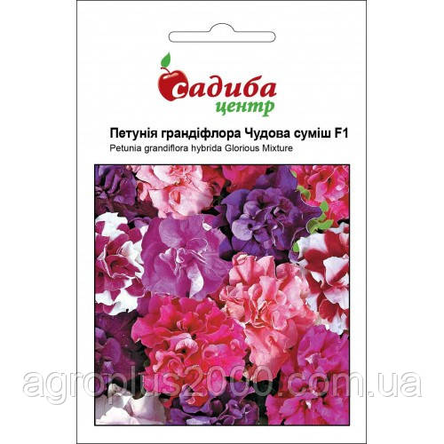 Насіння Петунія махрова великоквіткова Чудесна суміш F1, 10 насінин Pan American
