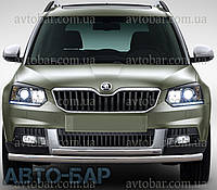 Кенгурятник на Skoda Yeti (с 2009--) Шкода Ети