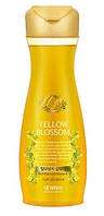 Шампунь против выпадения волос без сульфатов Daeng Gi Meo Ri Yellow Blossom Shampoo