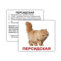 Картки Домана "Породи кішок. МИНИ (20шт)" Рус.