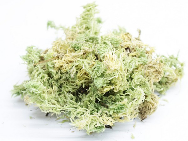 Мох сфагнум Fitoroom BioGrow 1л