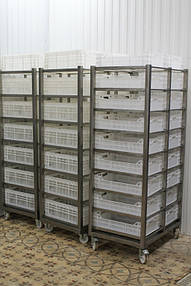 Морозильна камера для заморожування субпродуктів -30С. 3