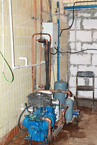 Морозильна камера для заморожування субпродуктів -30С. 4