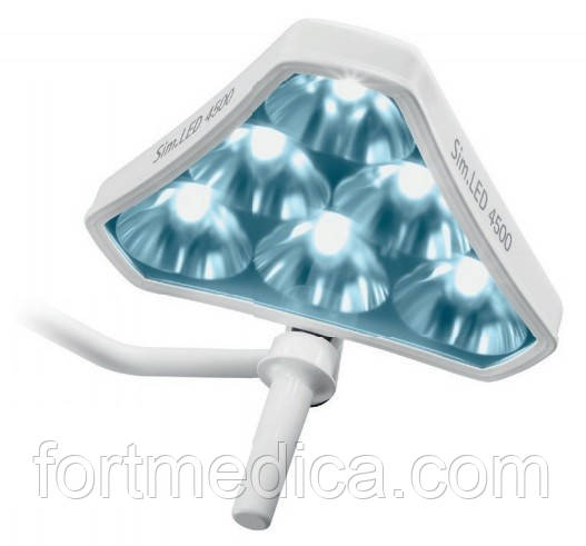 Світильник оглядовий Simeon LED 4500
