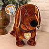Собака Такса Бадді м'яка іграшка, фото 5