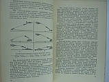 Ляпунів Б.В. Ракета (б/у)., фото 8