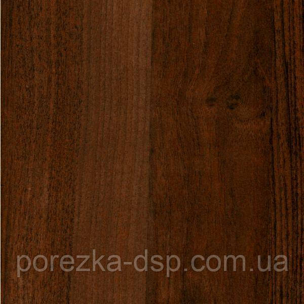 Горіх екоко, фото 1