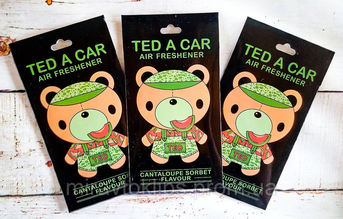 Ароматизатор в авто / гардероб фруктовый Ted a Car "Cantaloupe" Мускусная дыня - фото 2 - id-p583601078