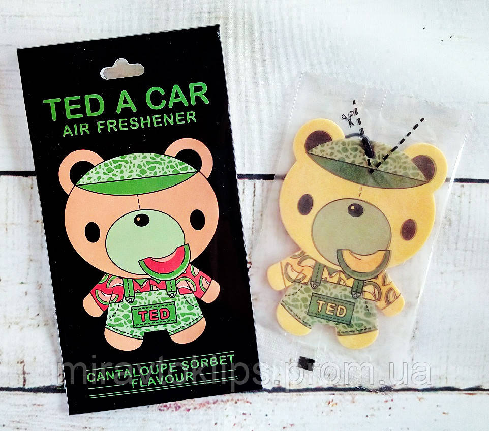 Ароматизатор в авто / гардероб фруктовый Ted a Car "Cantaloupe" Мускусная дыня - фото 1 - id-p583601078