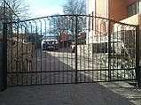 Ковані ворота з вбудованою хвірткою "Виноградні", фото 2