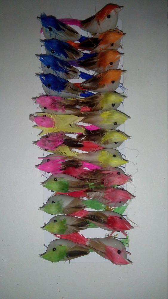 Пташка декоративна, фото 1