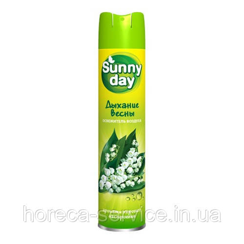 Освіжувач повітря Sunny day в асортименті