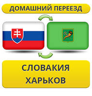 Домашній переїзд із Словаччини в Харків