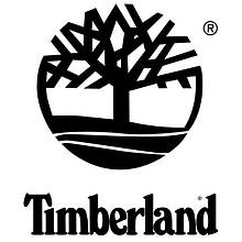 Чоловічі черевики Timberland