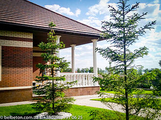 Балюстрада в поселке Вольное, Криворожского района (Дозаказ) 12