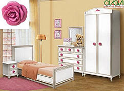 Дитяча Фієрія (троянда)