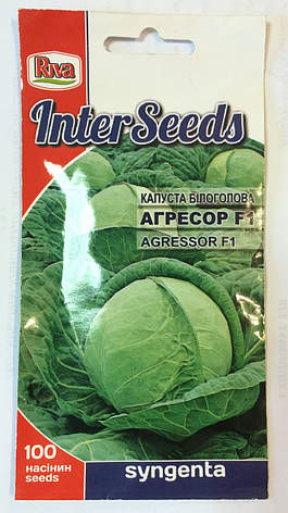 Насіння Капуста Inter Seeds Агресор F1 100 н Syngenta, фото 1