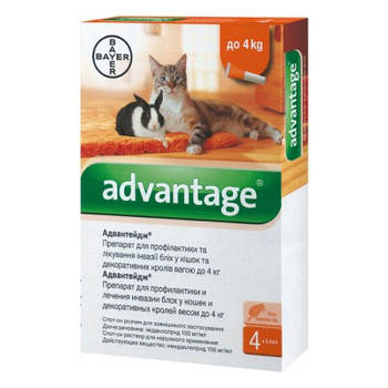 Краплі від бліх і кліщів Advantage Адвантікс ® 40 для котів до 4 кг, 1 піпетка
