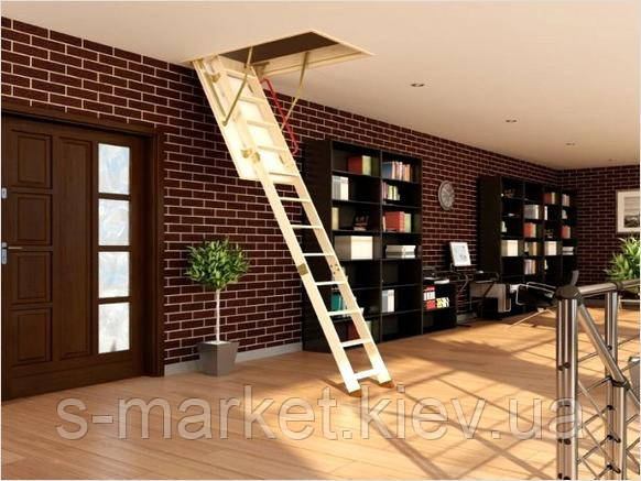 Чорна драбина Fakro LWS 60x130x305