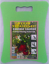 Садова сидіння 450х350х16, фото 2