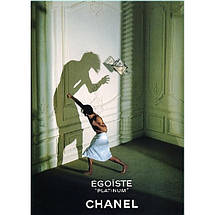Chanel Egoiste Platinum туалетна вода 100 ml. (Chanel Egoiste Platinum), фото 2