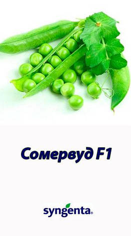Насіння Горох Сомервуд 50 г Голландія, Syngenta, фото 1
