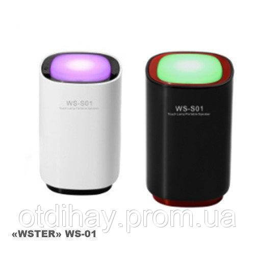 Радіоприймач колонка з Bluetooth LED світильник з динаміком WSTER WS-01