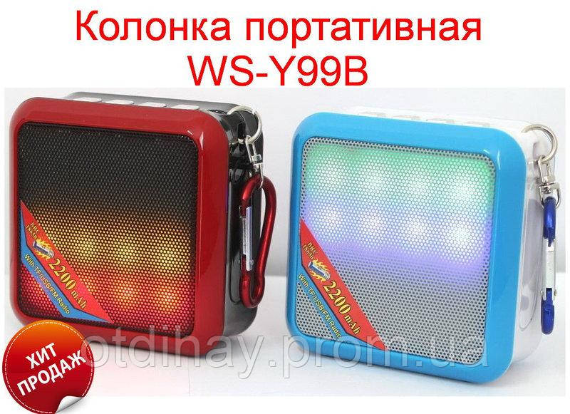 Портативна Bluetooth колонка WS-Y99B, FM-радіо