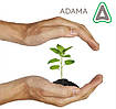 Схеми захисту рослин від компанії ADAMA