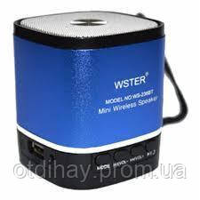 Портативна Bluetooth-колонка WSTER WS-236-BT, FM-радіо