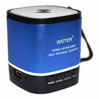 Портативна Bluetooth-колонка WSTER WS-236-BT, FM-радіо