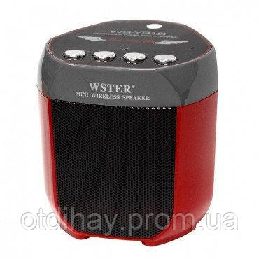 Портативна Bluetooth-колонка WSTER WS-Y 91B, FM-радіо