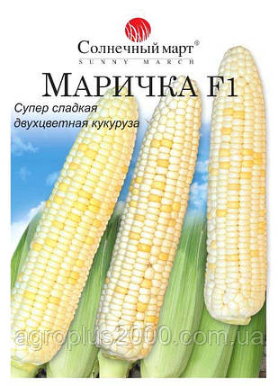Насіння Кукурудза цукрова двоколірна Маричка F1, 10 грамів Сонячний Март, фото 1