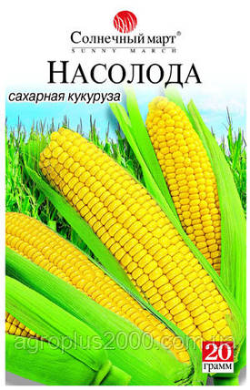 Насіння Кукурудза цукрова Насолода 20 грамів Сонячний Март, фото 1