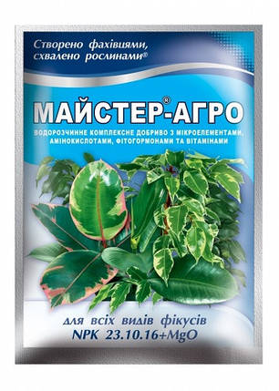 Добриво для фікусів Майстер 25 г, Кіссон, фото 1
