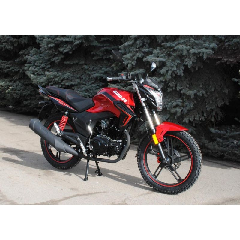 Мотоцикл Skymoto BIRD X6 200 - фото 3 - id-p592472323