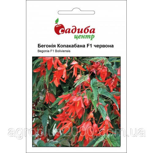 Насіння Бегонія ампельна болівійська Копакабана F1, 10 насіння Сerny