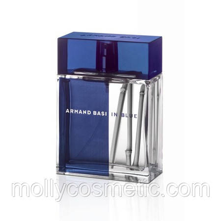 ARMAND BASI IN BLUE