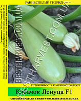 Семена кабачка «Ленуца F1» 0.5 кг