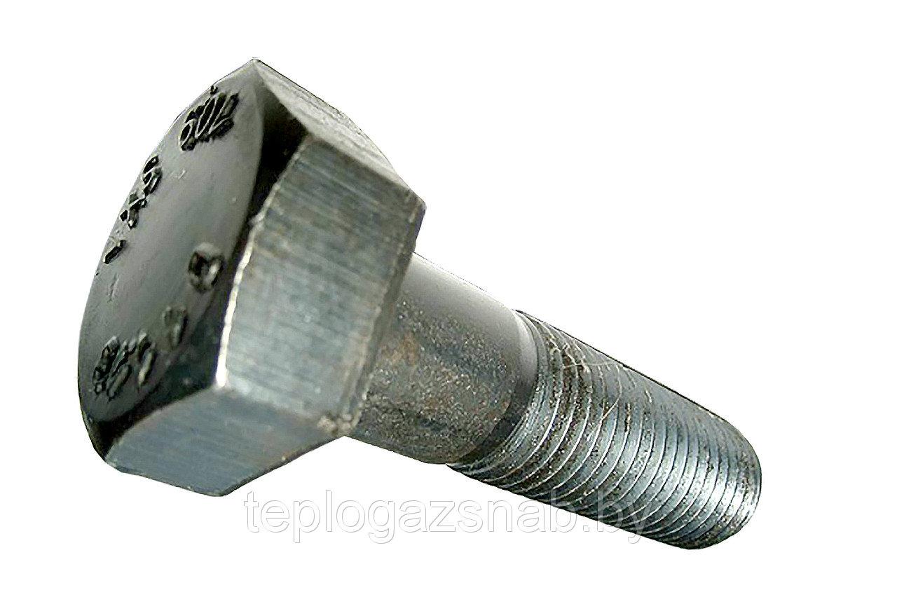 Болт високоміцний М22 ГОСТ Р 52644-2006