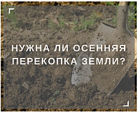 Чи потрібна осіннева перекопка землі на городі?