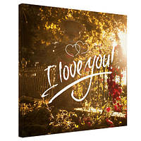 Картина на полотні I love you! 50x50 см (H5050_16L034)