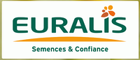 Насіння Євраліс семенс