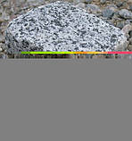 Гранітна брусчатка Покостове родовище, сіра, фото 3